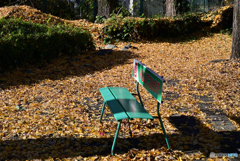 日向でまったりしたい…