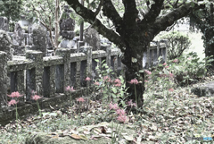 無常