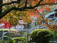 P1039889
