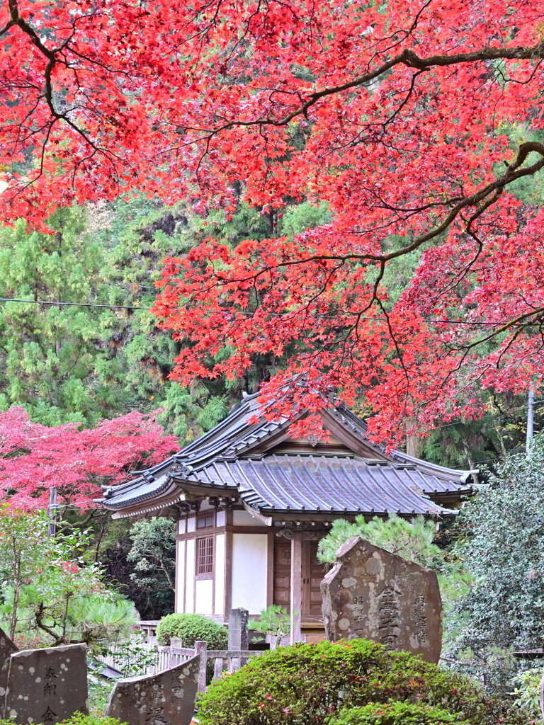 紅葉のお堂