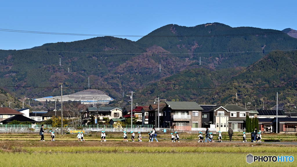 みんなで仲良くお散歩♬