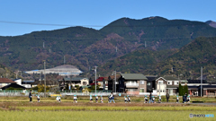 みんなで仲良くお散歩♬