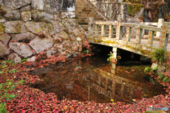 石橋と落ち葉