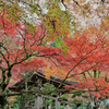 紅葉と鐘撞堂