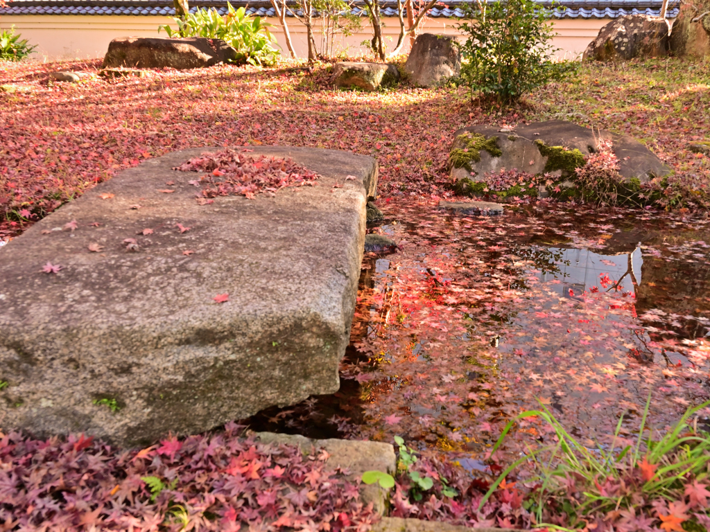 枯山水と紅葉