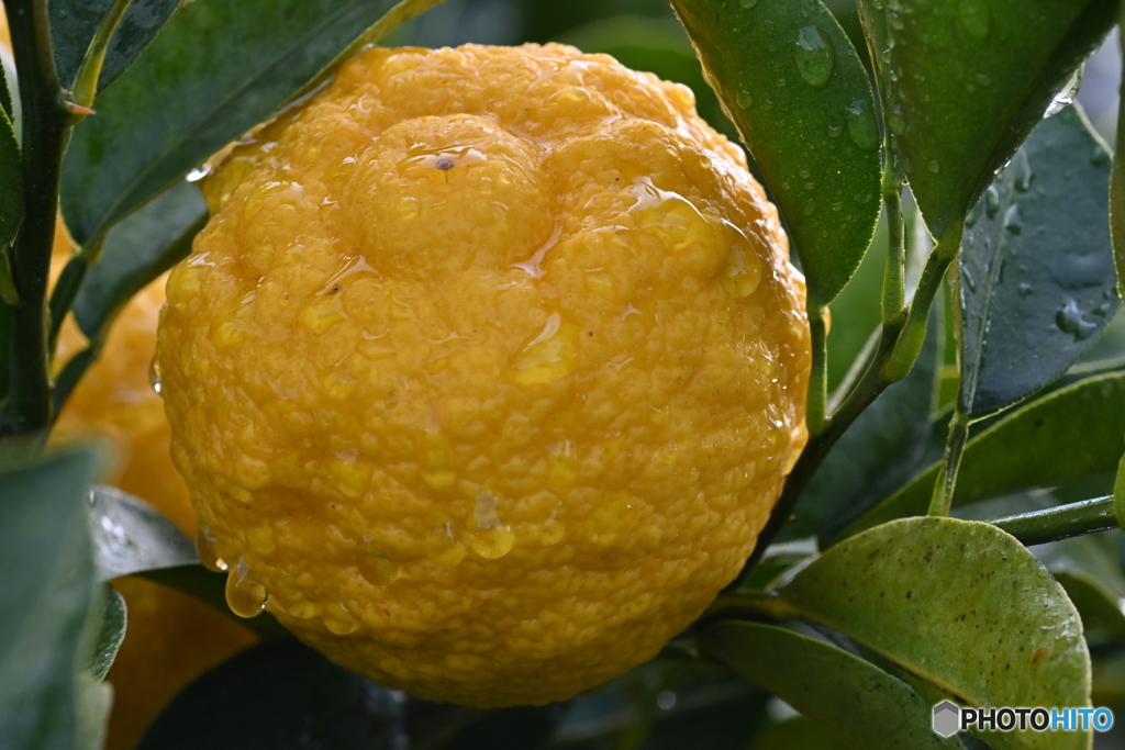 冬なのに汗っかき