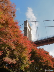吊り橋と紅葉2