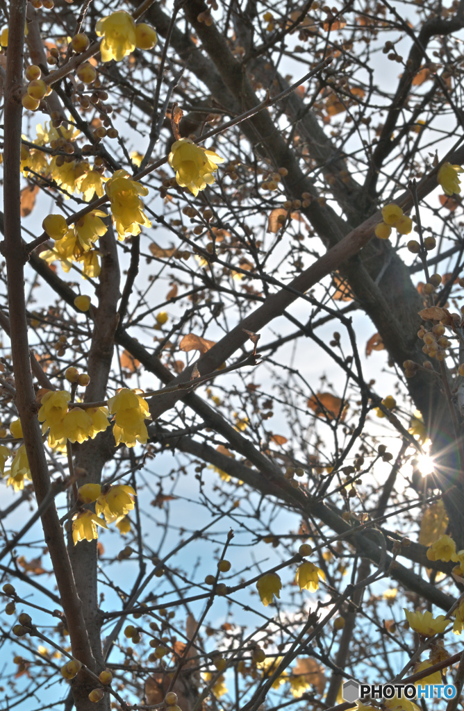 爽やかな朝日を浴びて