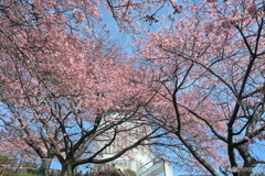 トリコロールな景色