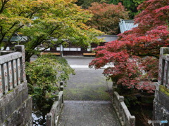 P1039840
