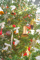 クリスマスツリー