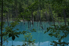 C7D4BD9A-2761-485A-9148-2B53B71B0B80