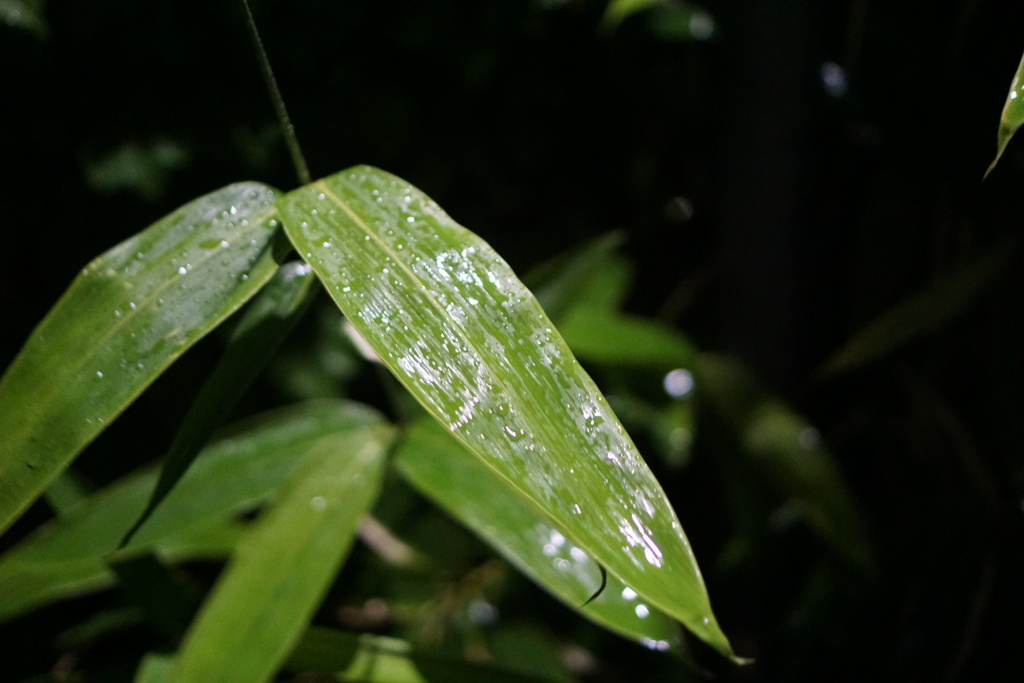 37268AB5-4C12-4976-A7BF-0FBA058A48D8