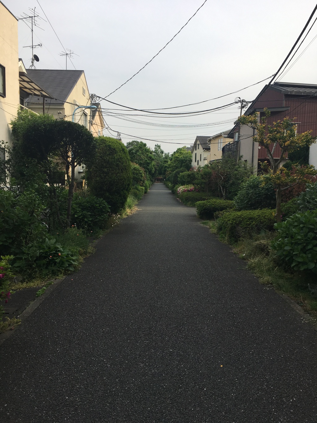 近所にて