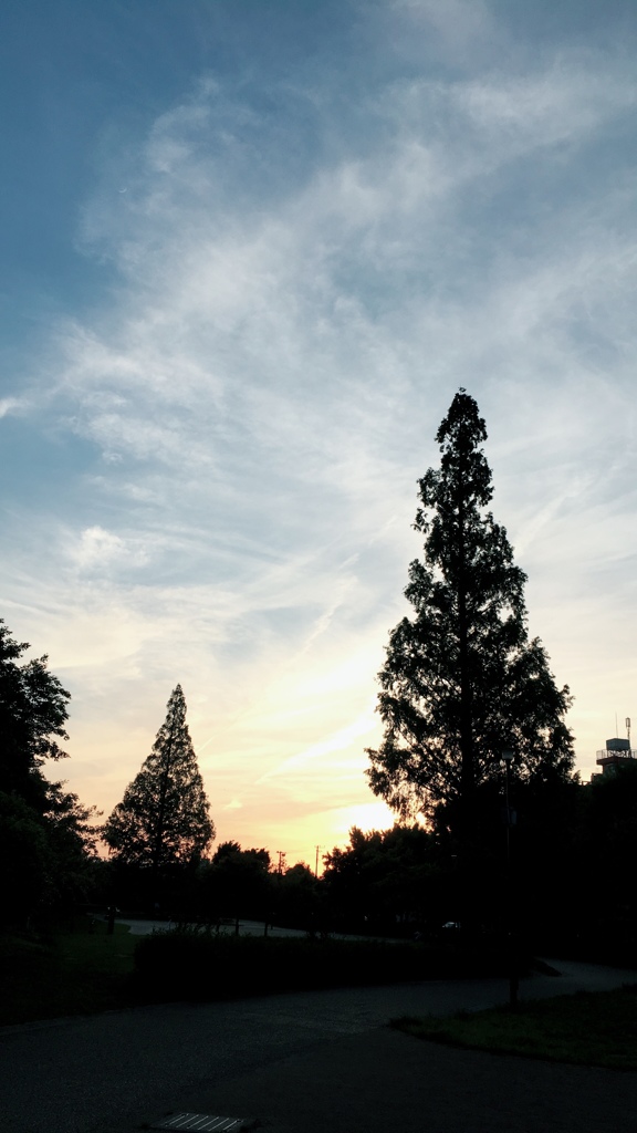 近くの公園