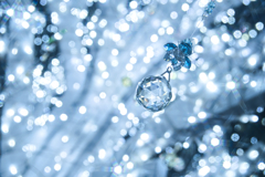 イルミネーション