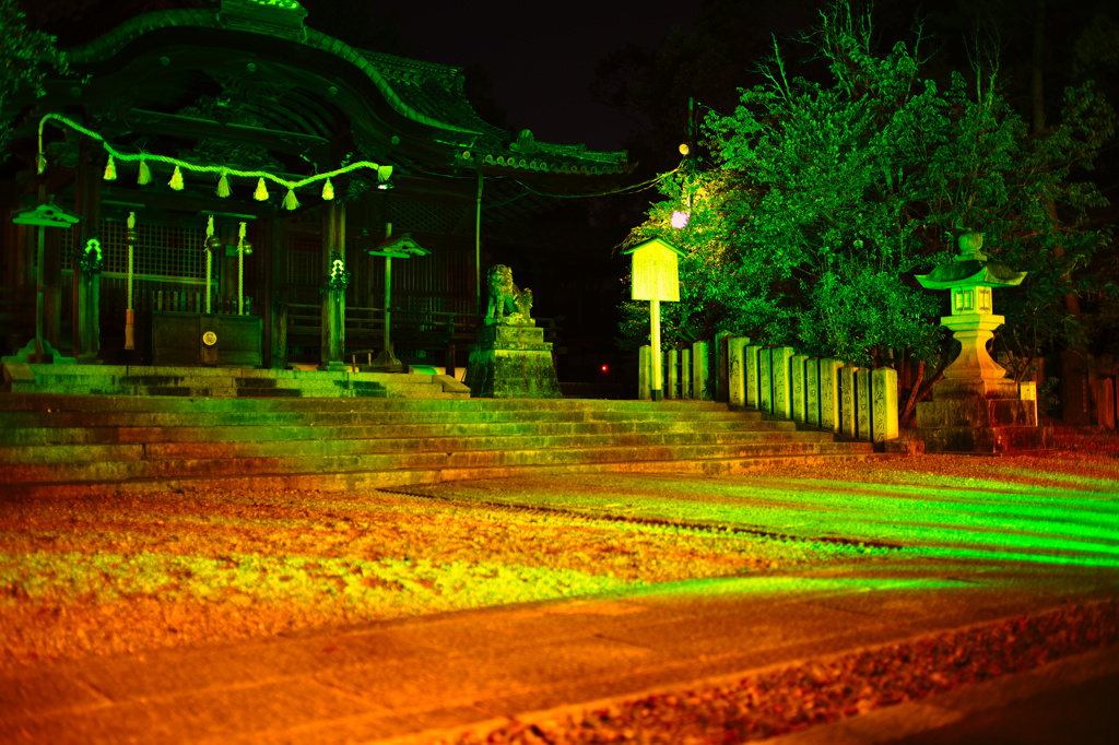 向日神社の光彩
