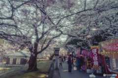 弥彦公園