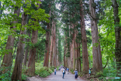 戸隠神社
