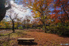 もみじ園