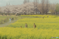 上堰潟公園