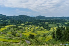 星峠　棚田