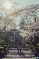 弥彦神社