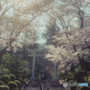 弥彦神社