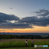 夕日と秋桜