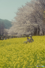 上堰潟公園