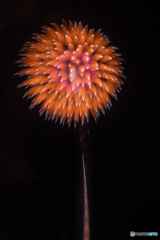 花火