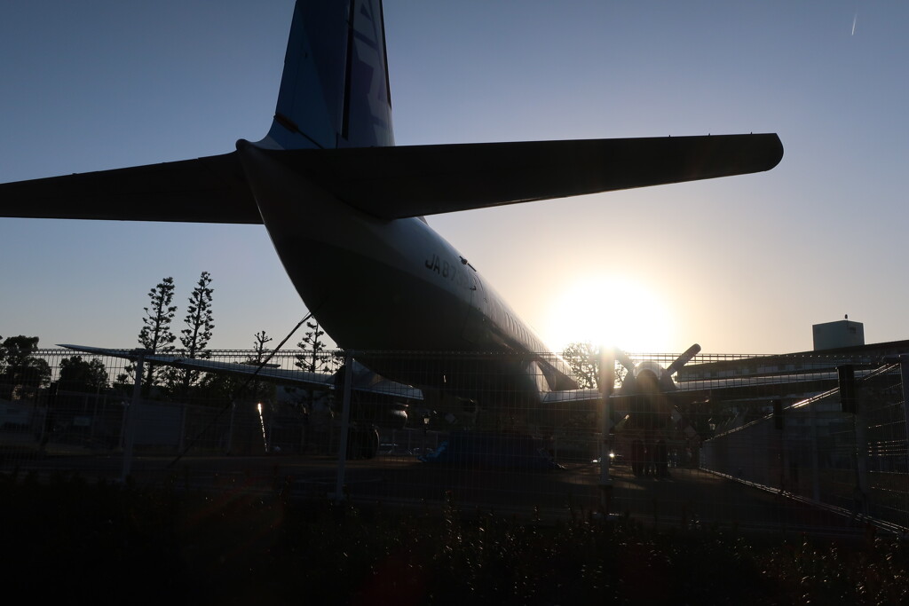 YS-11と夕日