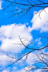 ただの空