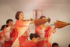 yosakoi dancer