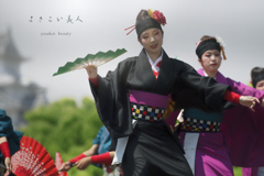 yosakoi beauty