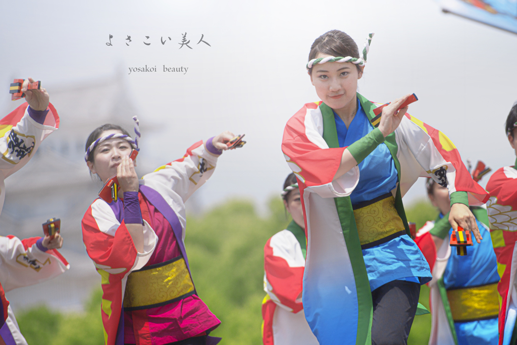 yosakoi beauty