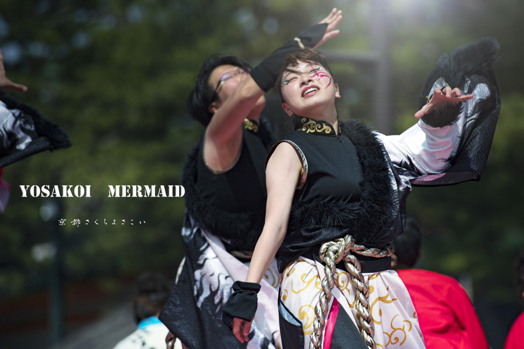 yosakoi mermaid
