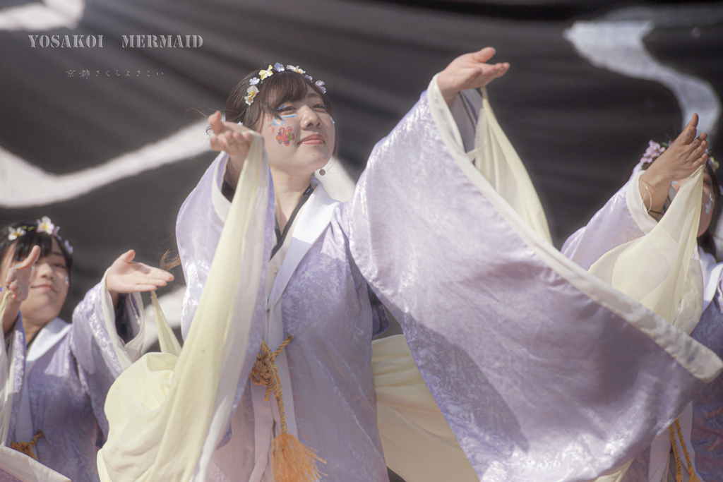yosakoi mermaid