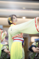 yosakoi dancer