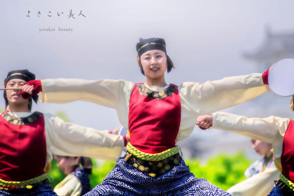 yosakoi beauty