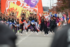 今年もよさこい、ないのか～