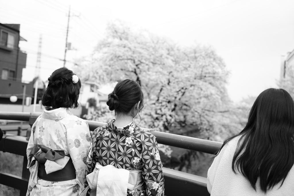 花見