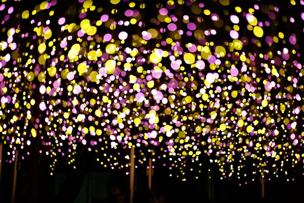 森の中の電気ホタル？