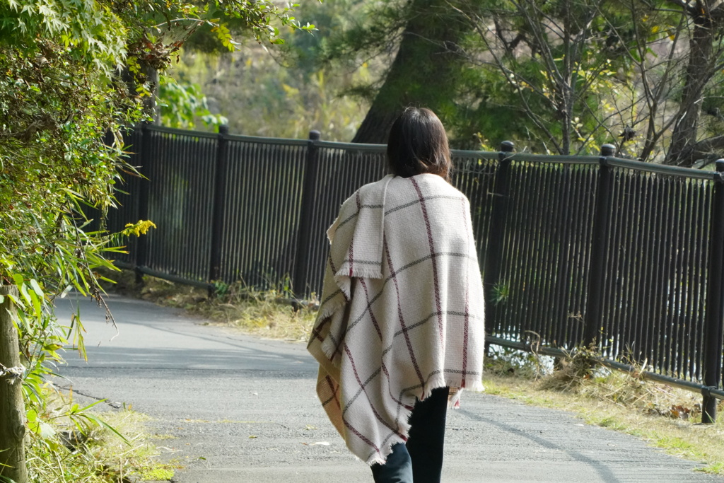 朝散歩、寒くなりました