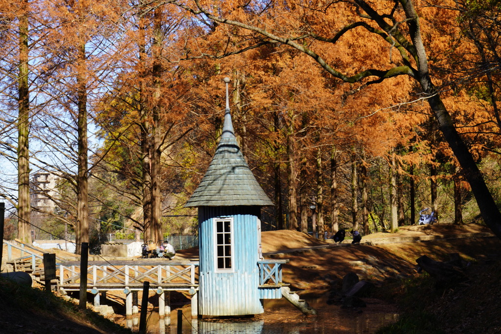 メタセコイア並木を背景に
