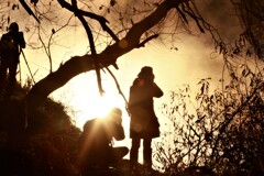 川辺で白鳥を撮る