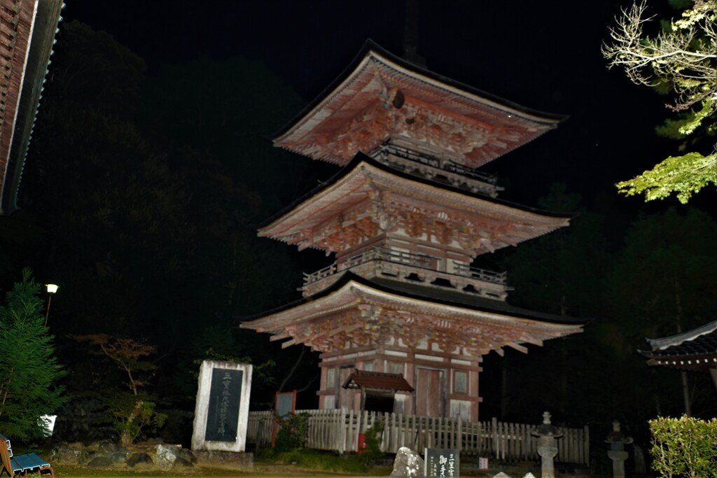 夜の三重塔