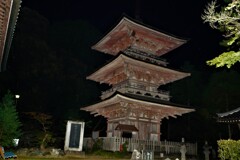 夜の三重塔
