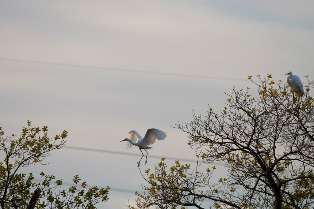 夕方のラッシュ