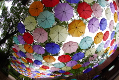 雨・雨・降れ降れ